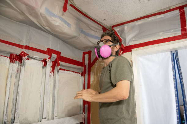 Best Biohazard Mold Removal  in Alamo, GA