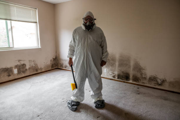 Best Forensic Mold Investigation  in Alamo, GA